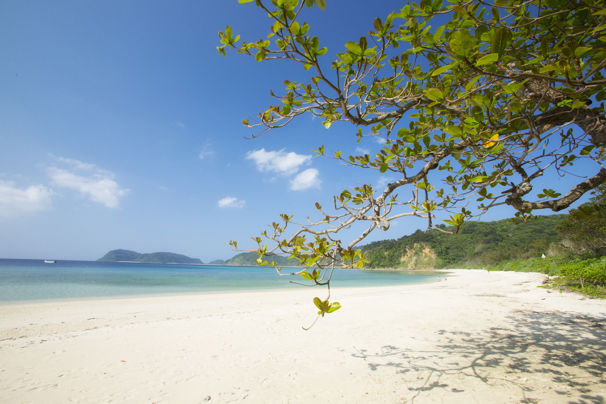 Iriomote Hotel By Hoshino Resorts Urauchi Kültér fotó